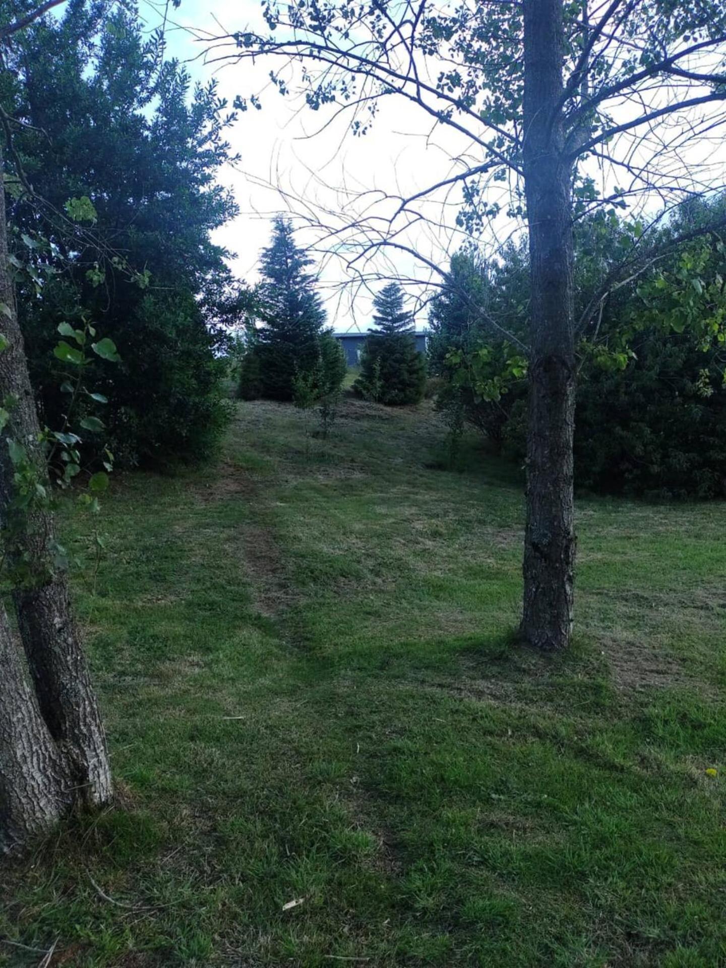 Agradable Cabana Puerto Varas Buitenkant foto